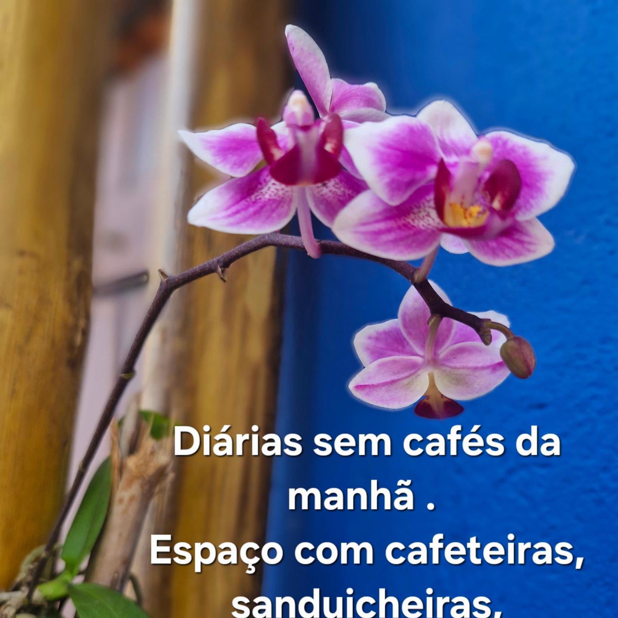 A Ver O Mar Suites Cocanha Caraguatatuba Luaran gambar